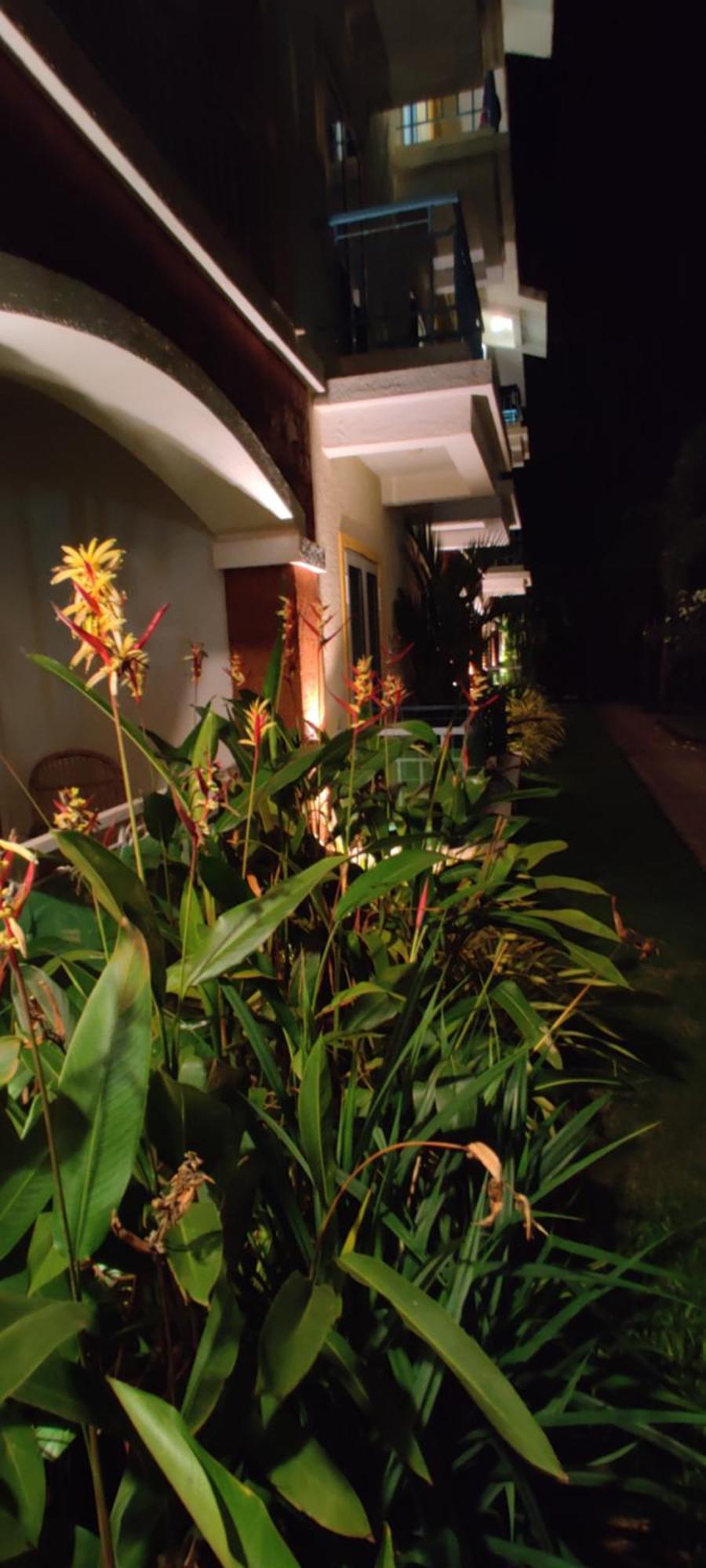 Passions De Goa Otel Anjuna Dış mekan fotoğraf
